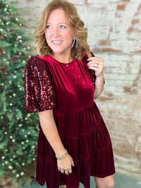 Kensley Sequin Sleeve Velvet Dress - FINAL SALE