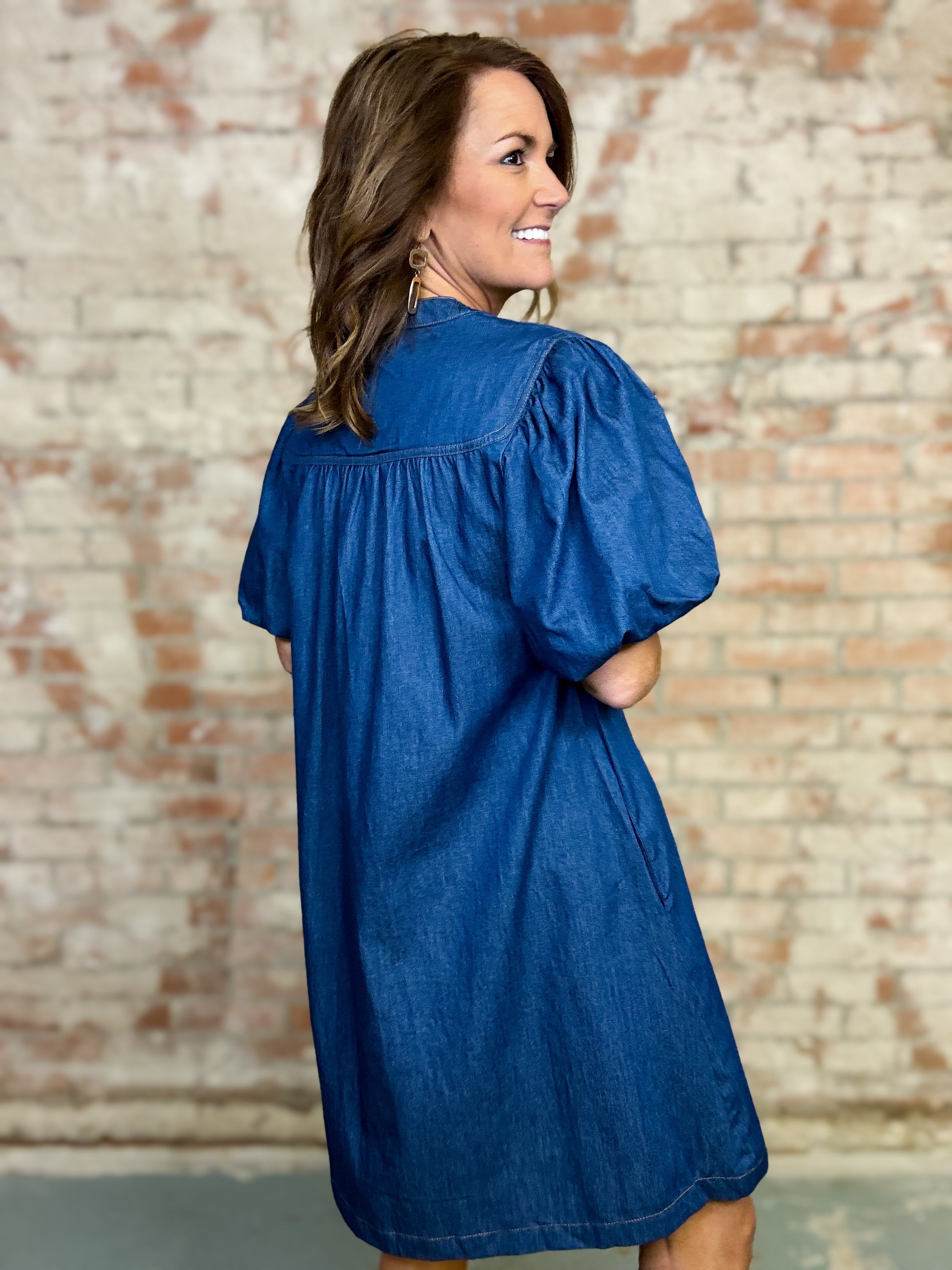 Francis Denim Dress