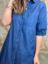 Brantley Denim Dress