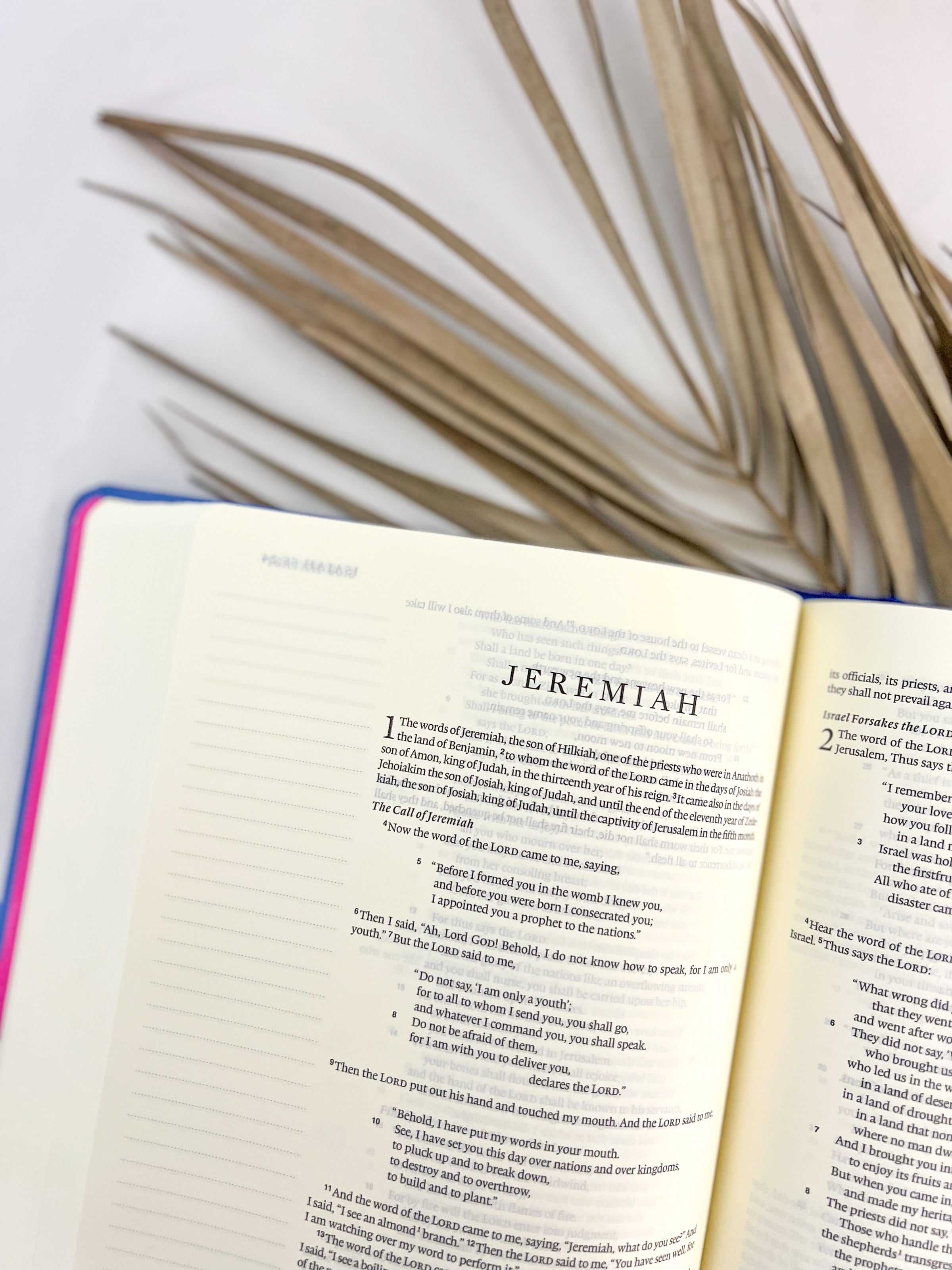 ESV Floral Journaling Bible