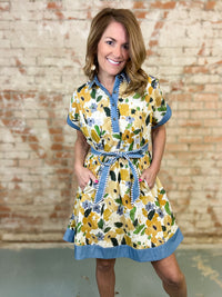 Hanna Belted Shirt Dress