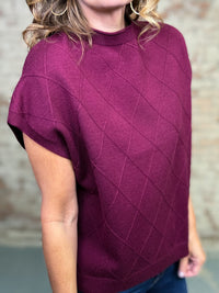 Elmi Solid Sweater Top