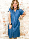 Lorenza Denim Collared Dress - FINAL SALE