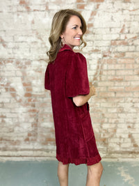 Alesia Bubble Sleeve Dress