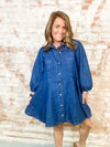 Gentry Denim Button Front Dress