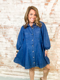 Gentry Denim Button Front Dress