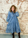 Electra Denim Dress