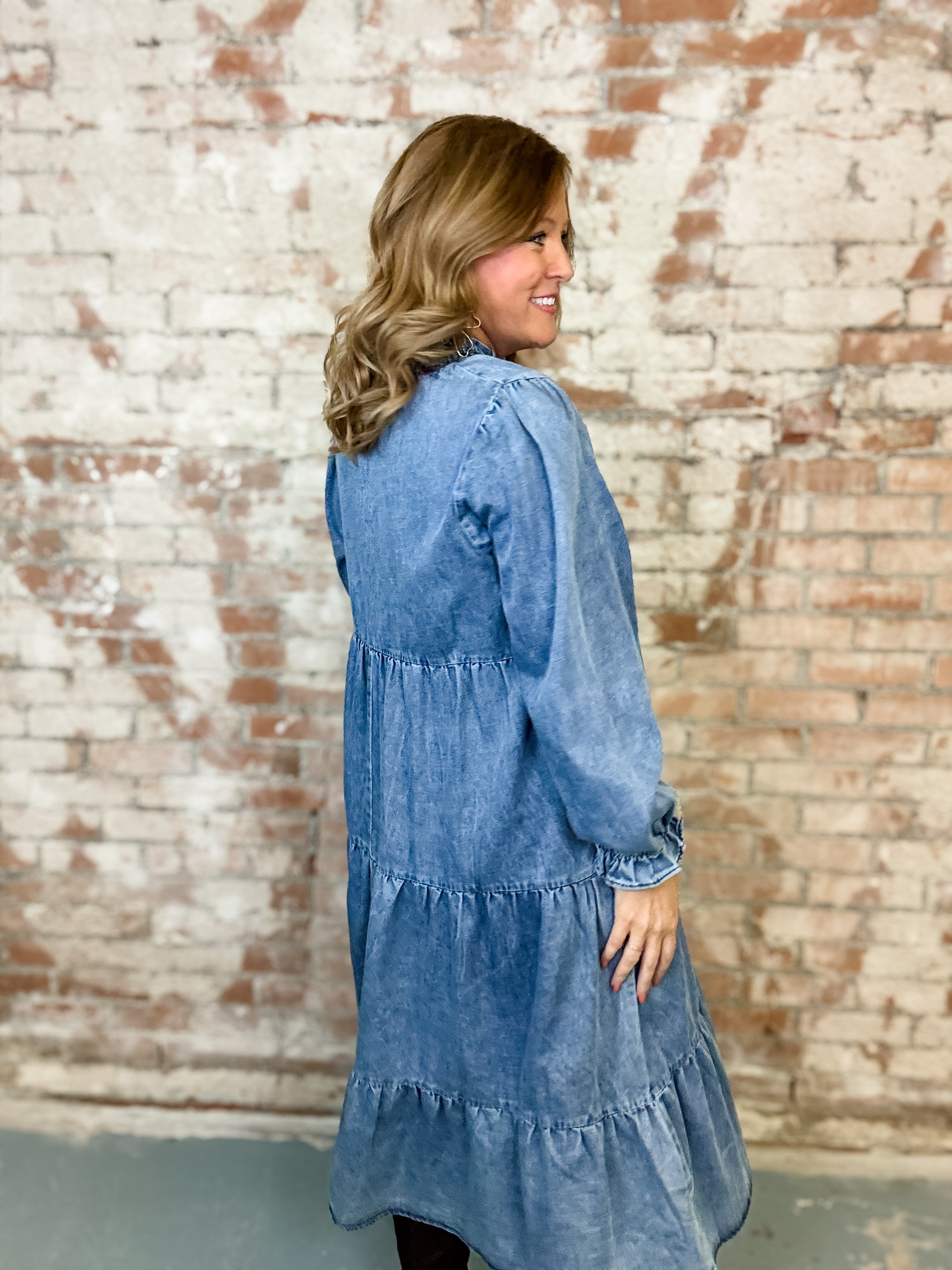 Electra Denim Dress