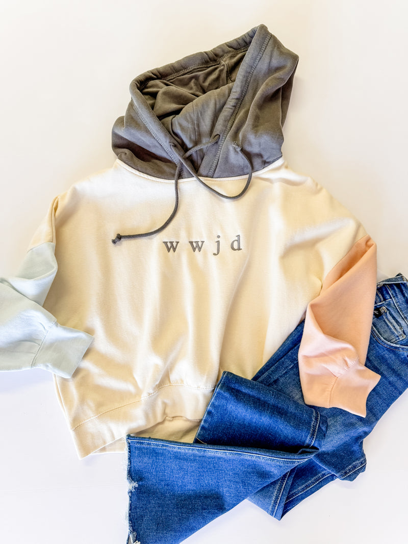 WWJD Hoodie