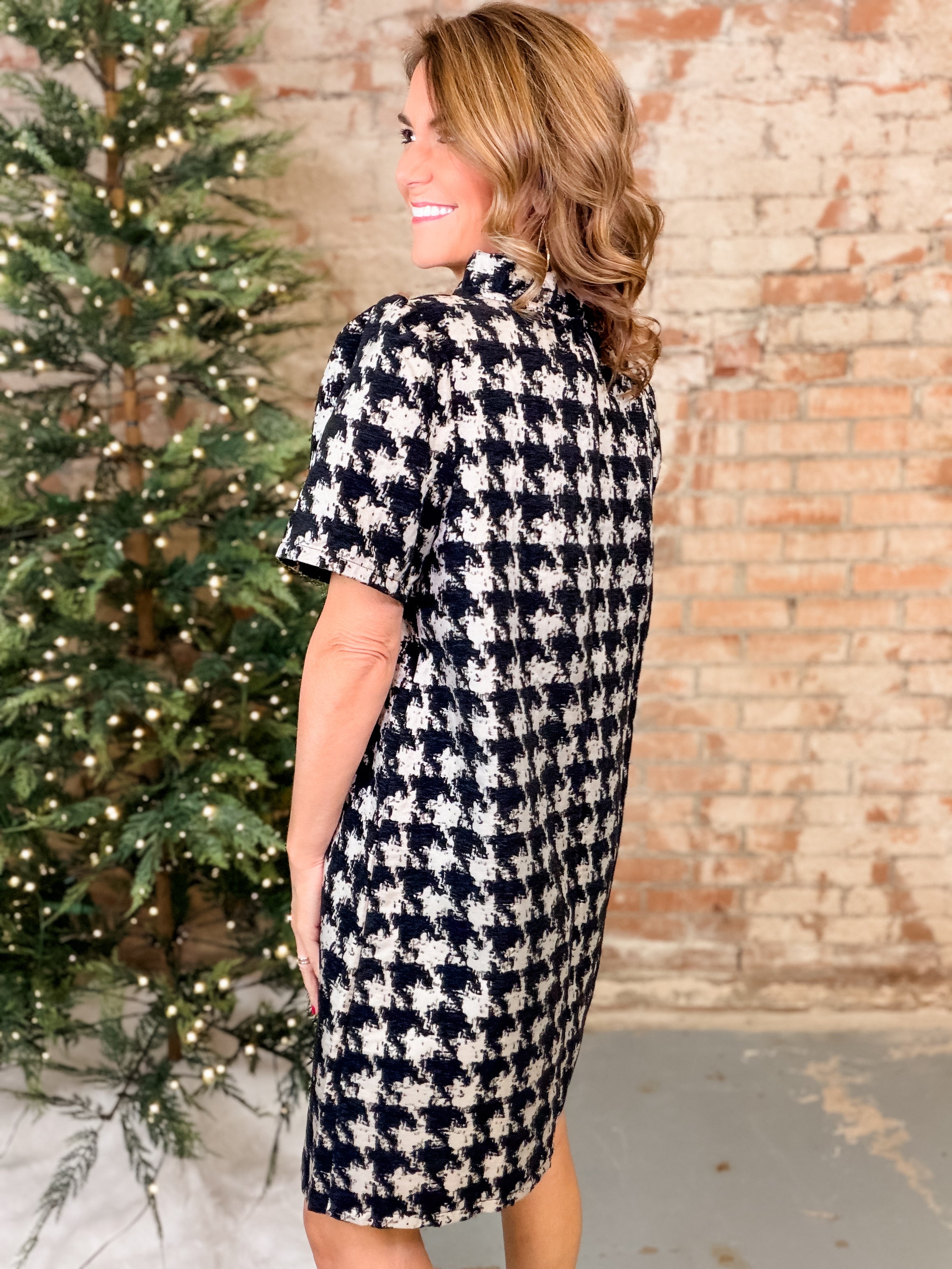 Remy Houndstooth Dress