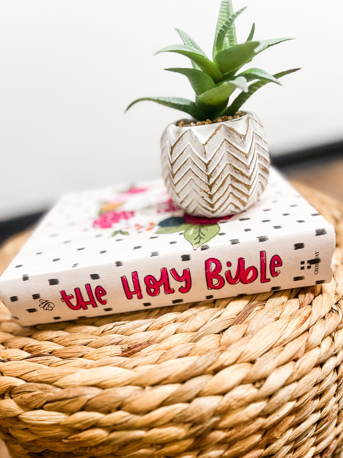 Bold Faith ESV Journaling Bible