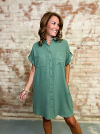 Alissa Solid Shirt Dress