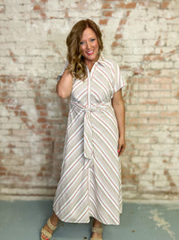 Stacie Button Down Dress