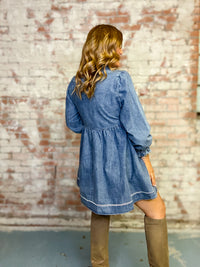 Nita Embroidered Denim Dress