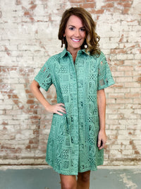 Fiora Button Down Dress