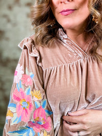 Shay Velvet Embroidered Top