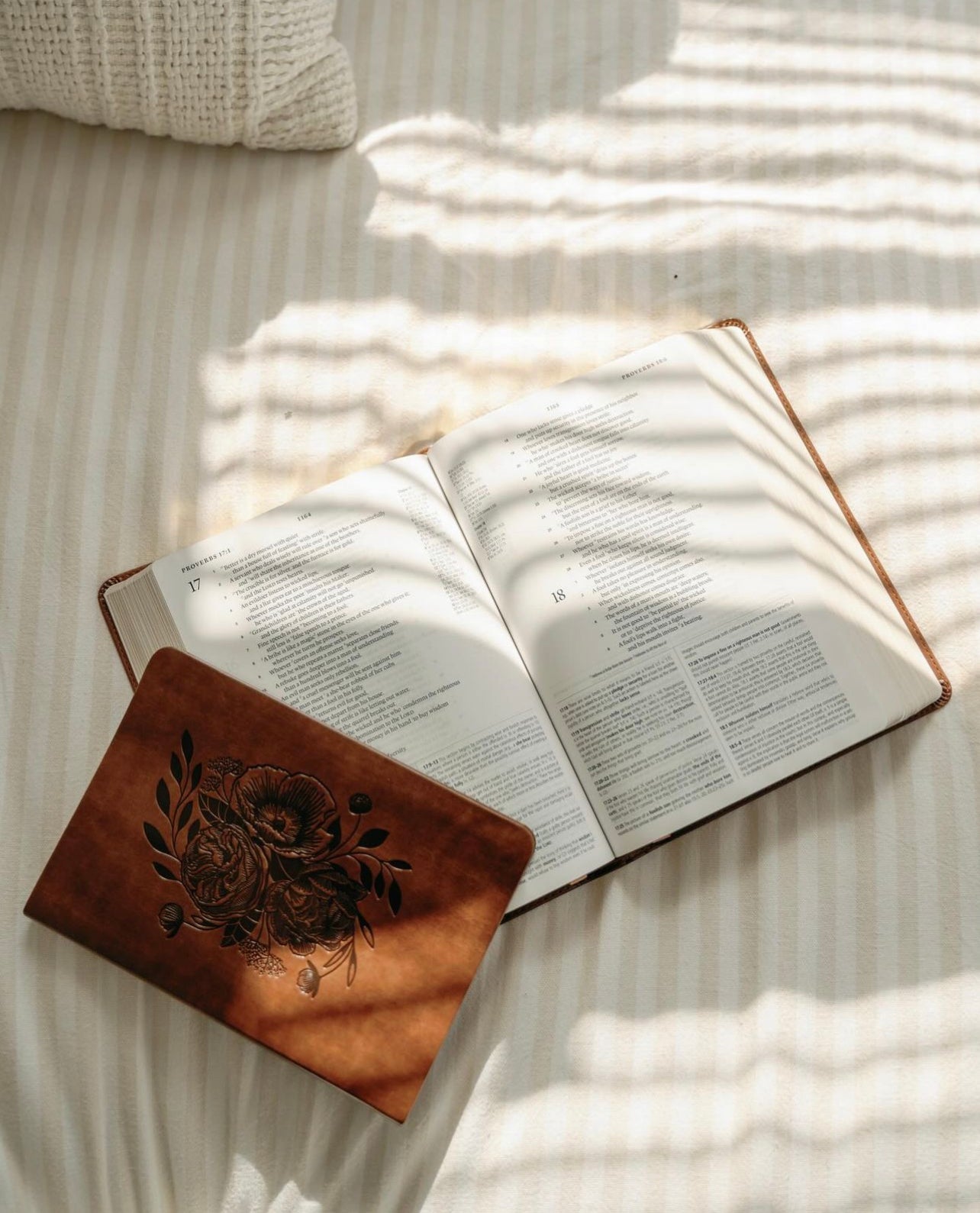 Aurora Notebook