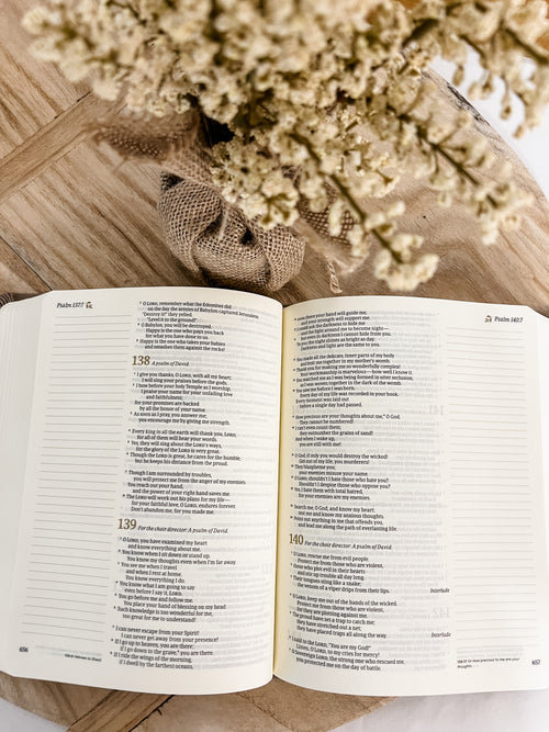 NLT Notetaking Bible | Marlo Theme