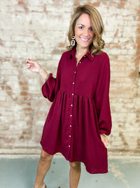 Morris Collared Dress