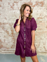 THML Raquel Suede Dress
