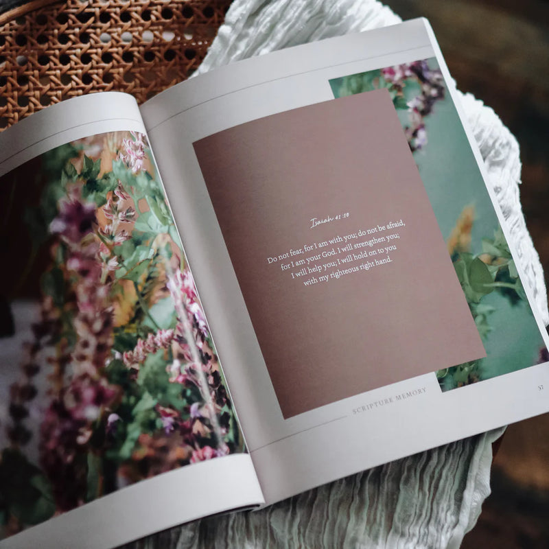 Peace For Anxious Heart | Bible Study