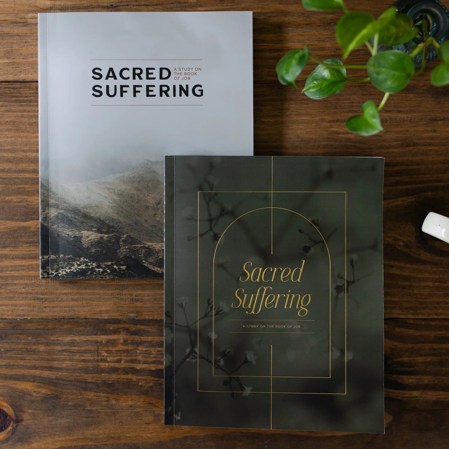 Sacred Suffering | A Study On the Book of Job