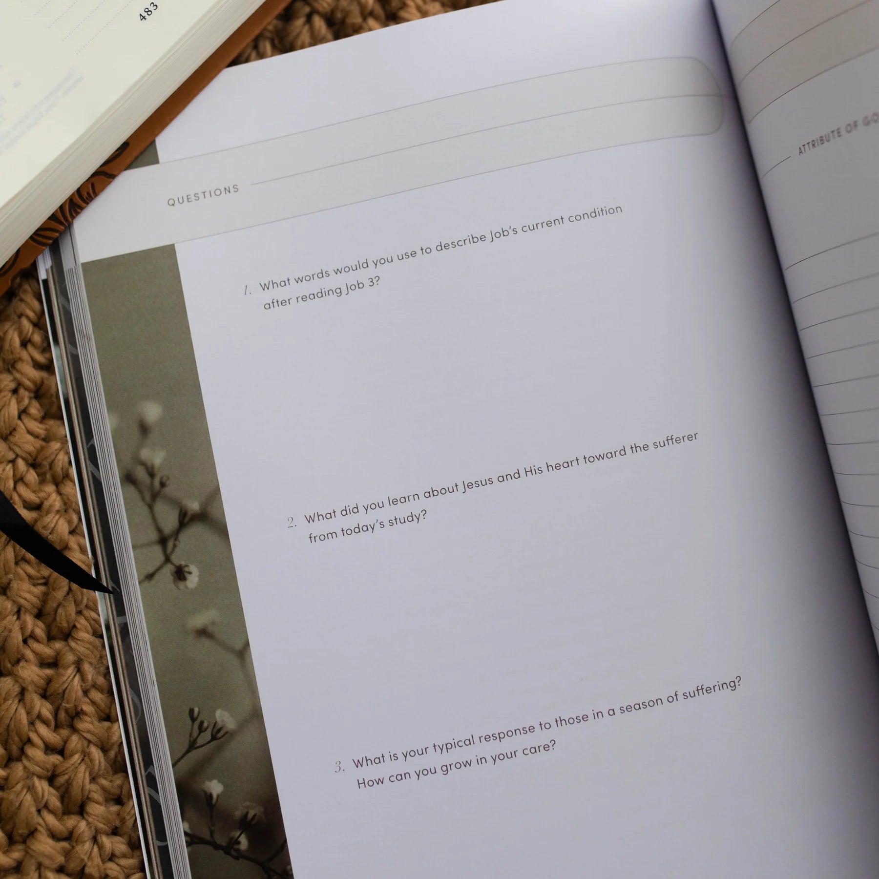 Sacred Suffering | A Study On the Book of Job