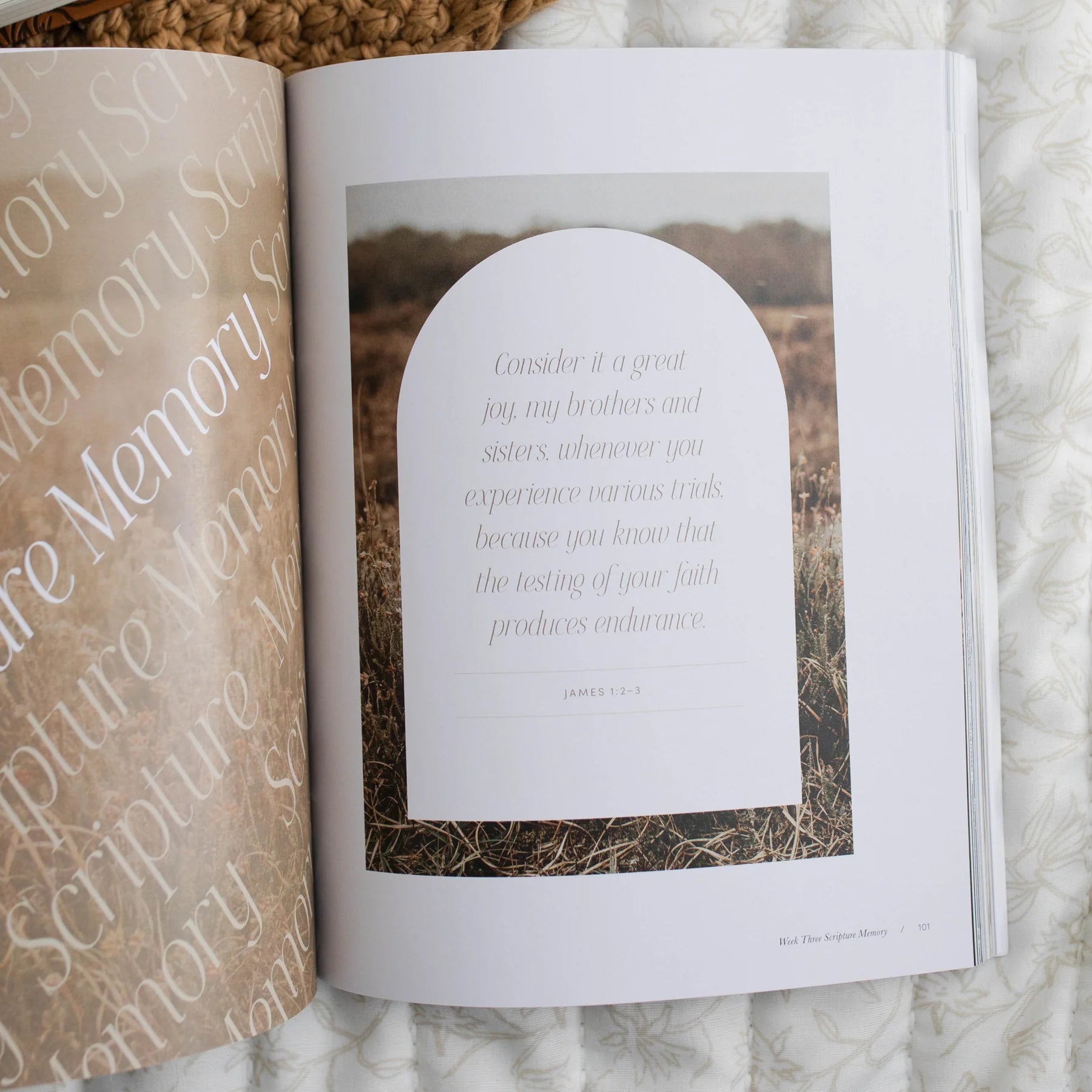 Sacred Suffering | A Study On the Book of Job