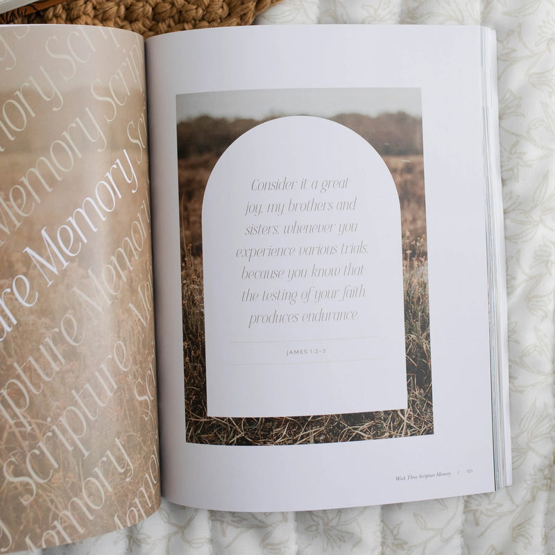 Sacred Suffering | A Study On the Book of Job