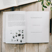 The Sermon On The Mount | Study