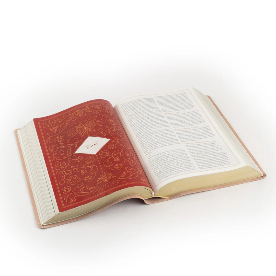 CSB Women's Study Bible | Sonora Theme