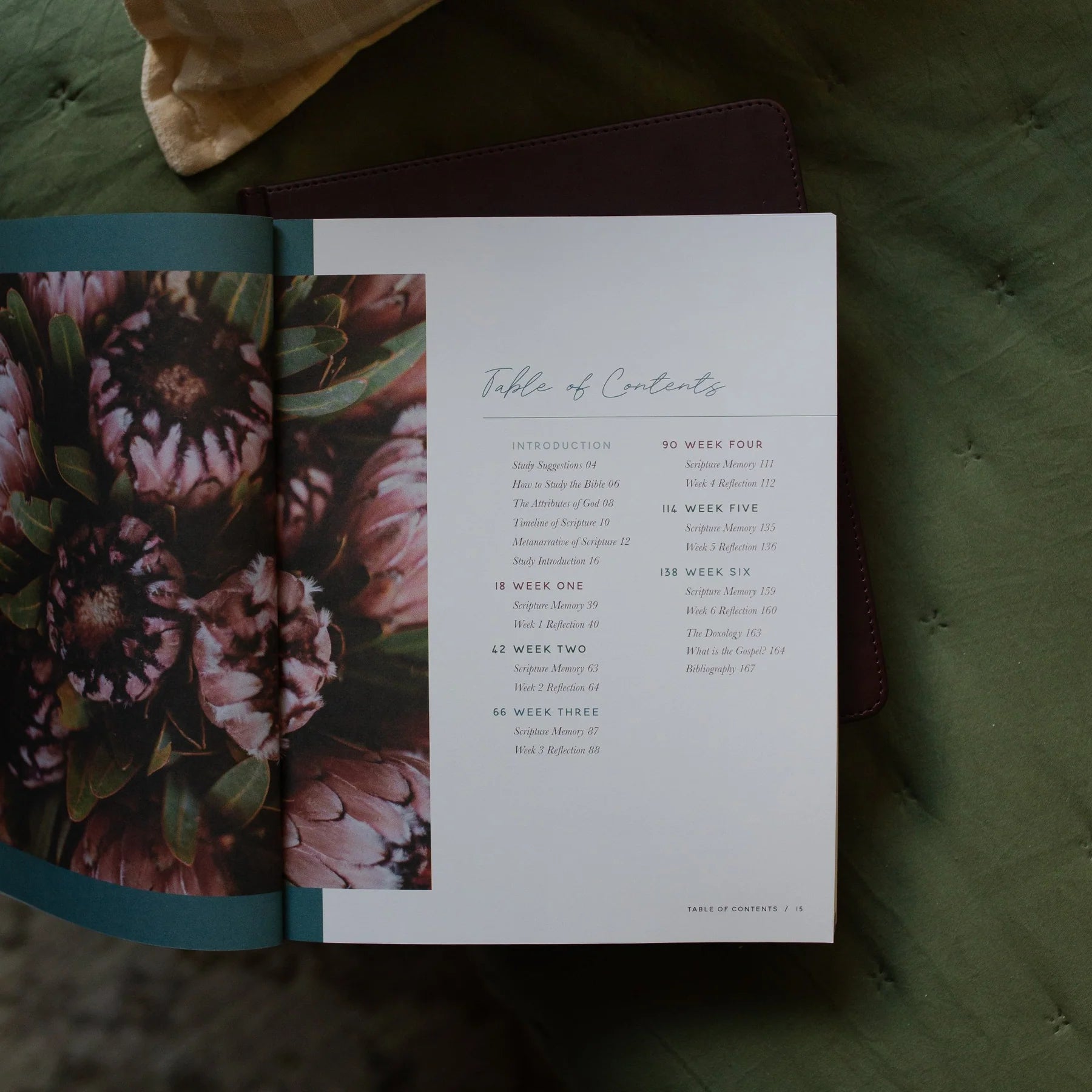 Trust | A Walk Through the Psalms