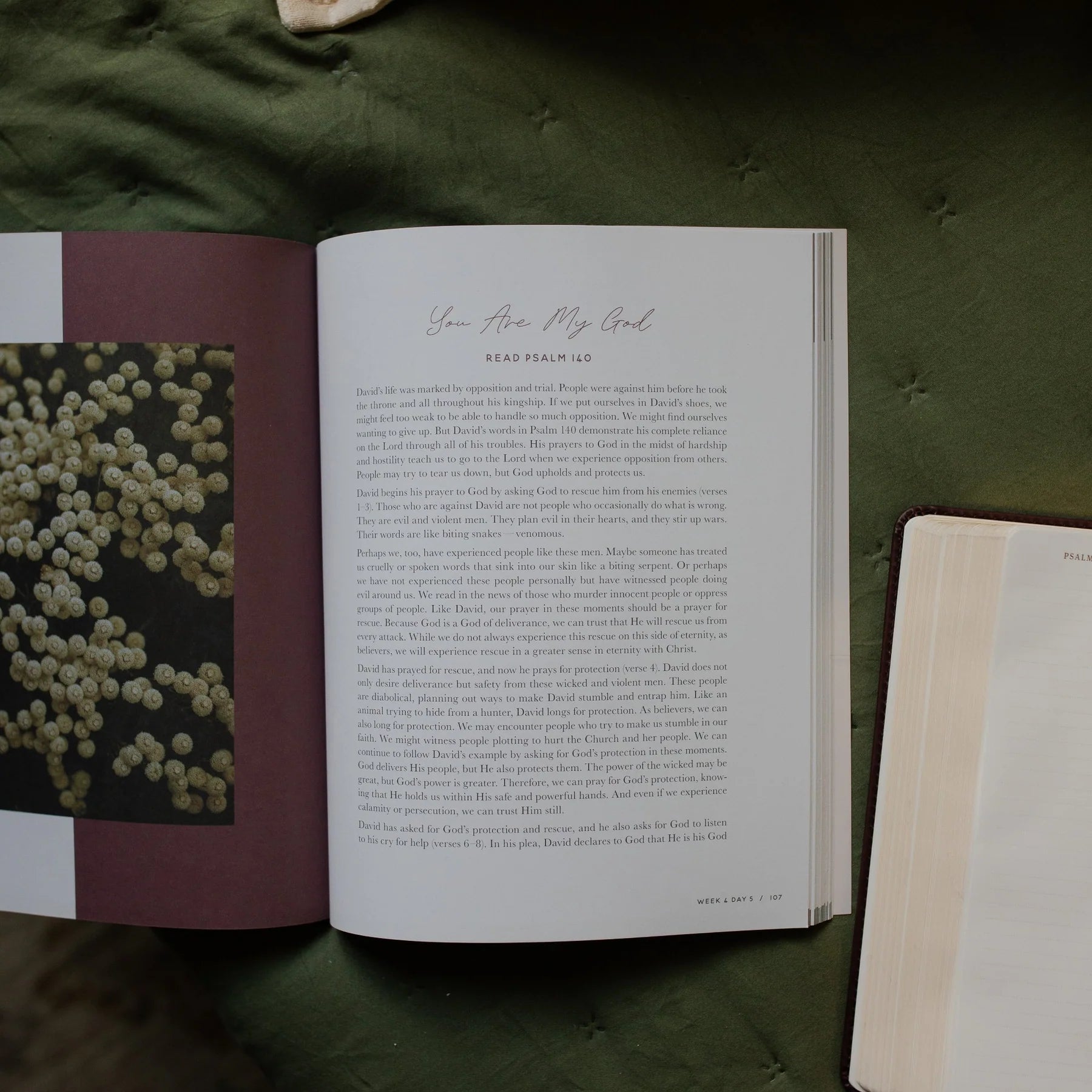 Trust | A Walk Through the Psalms