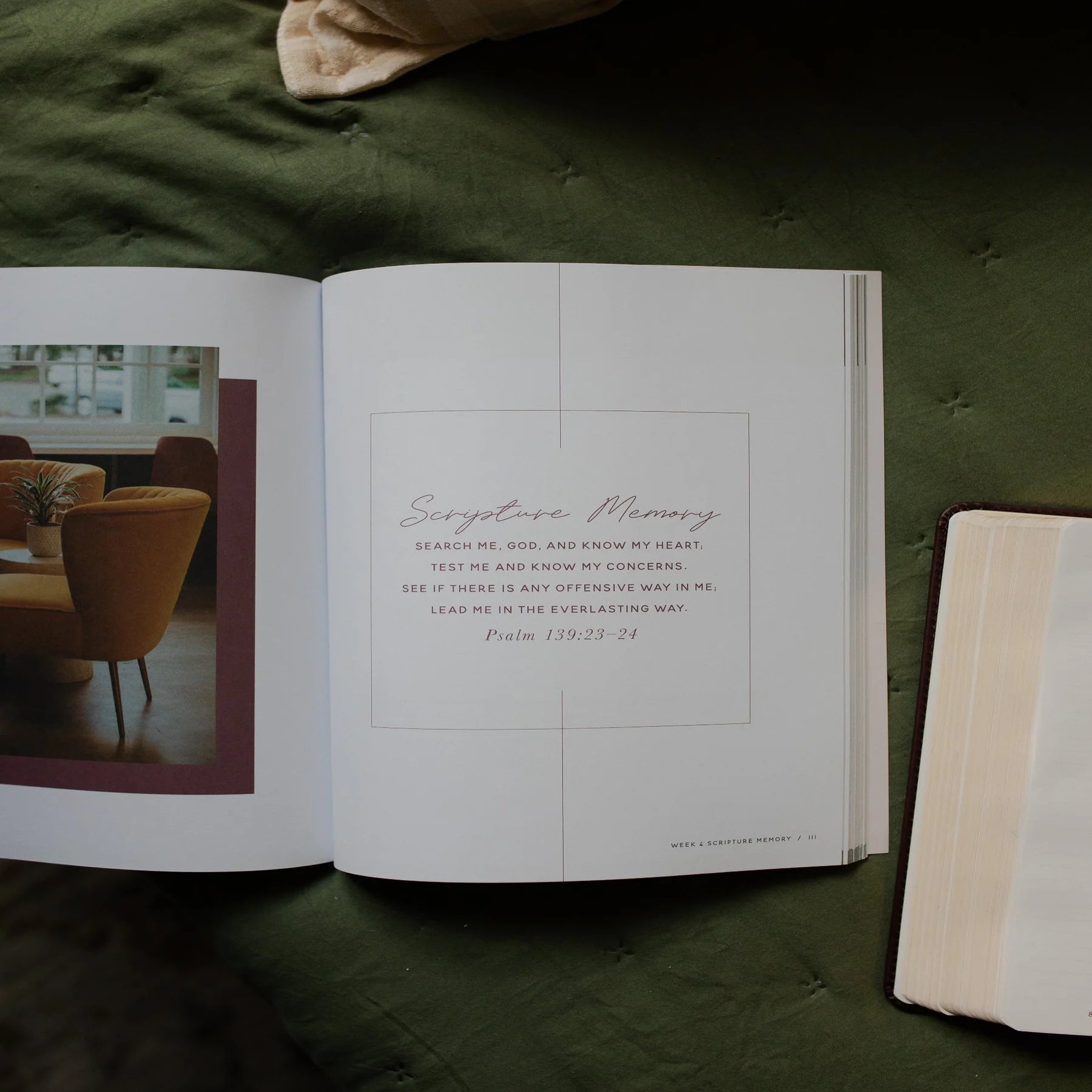 Trust | A Walk Through the Psalms