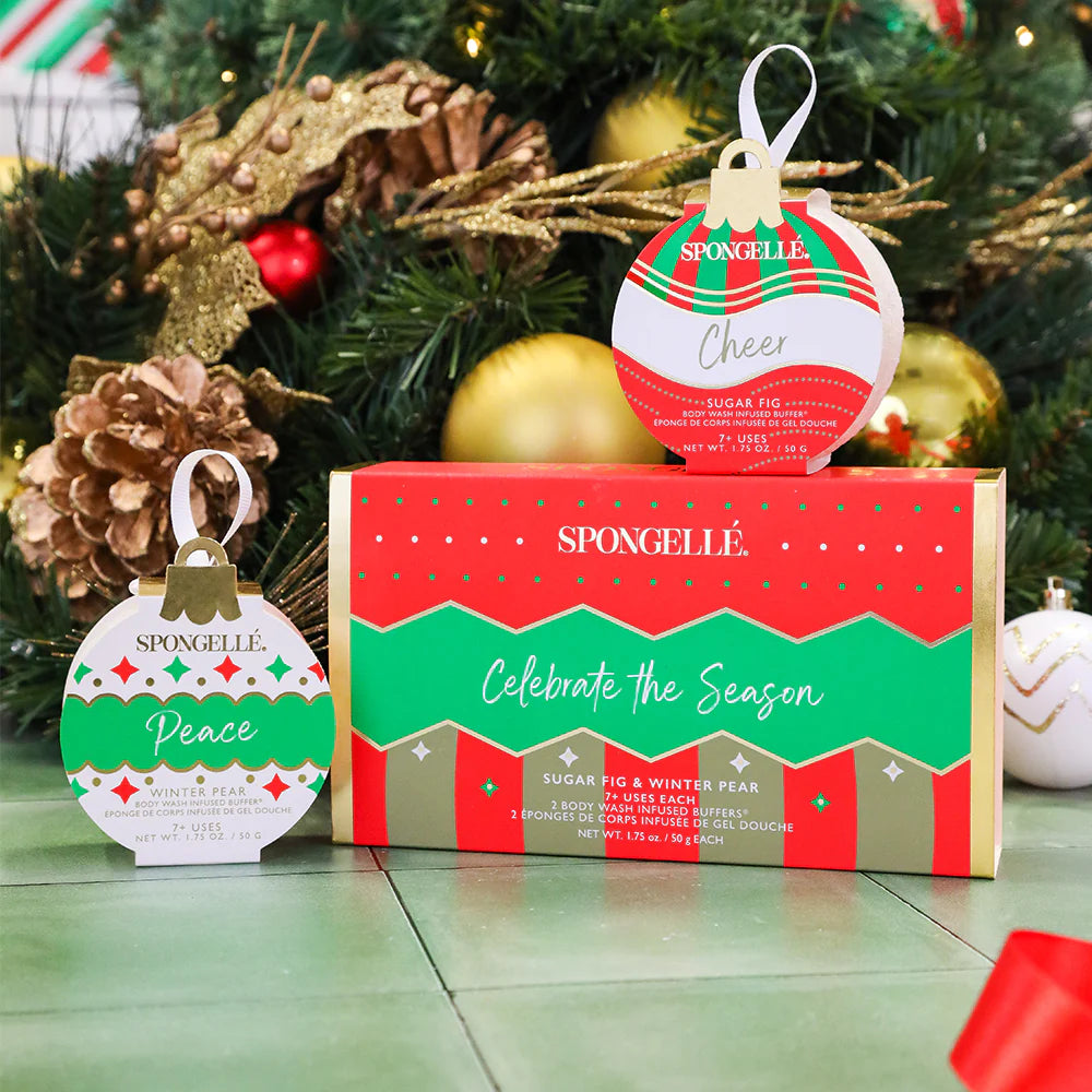 Celebrate The Season Ornament Gift Set