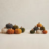 Cotton Blend Pumpkins