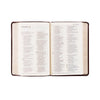 NLT Compact Bible | Yorkshire Theme