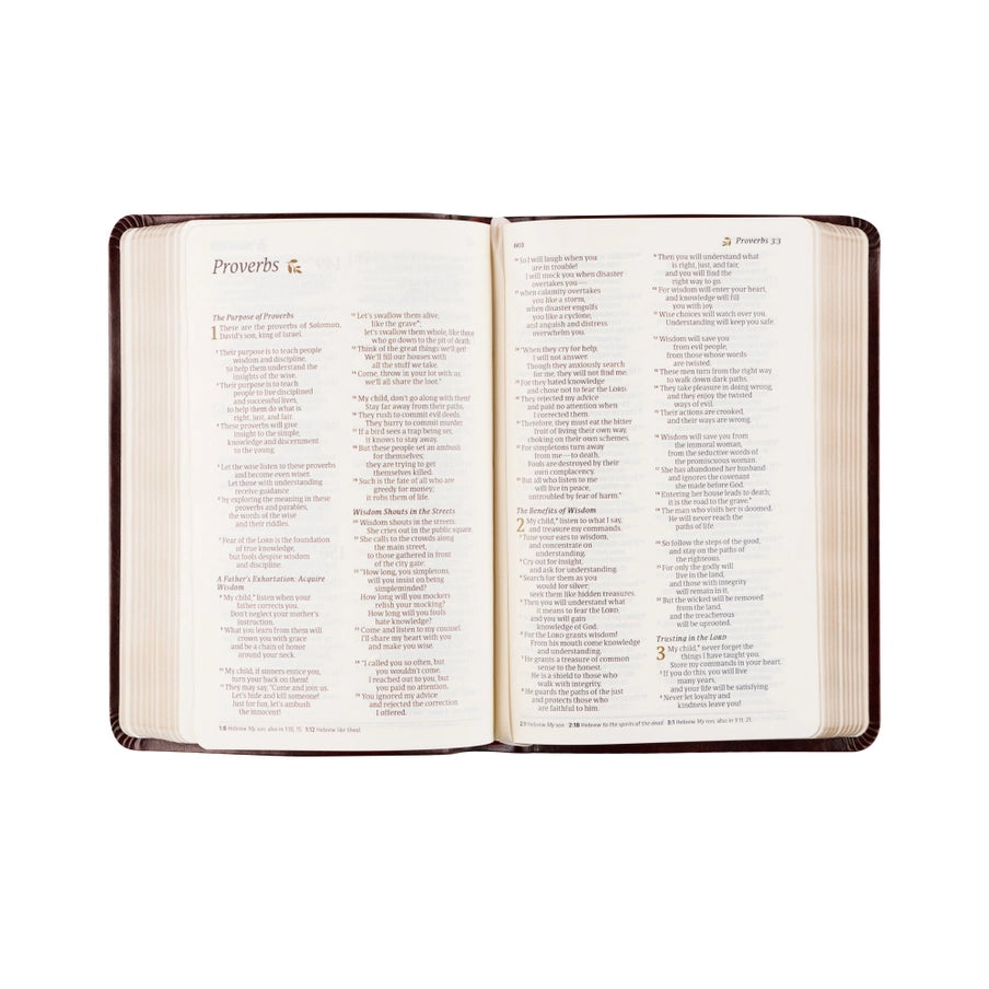NLT Compact Bible | Yorkshire Theme