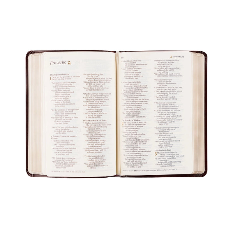 NLT Compact Bible | Yorkshire Theme