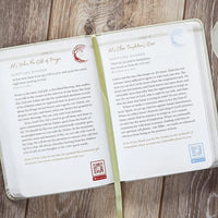 Pause & Pray Daily Devotional
