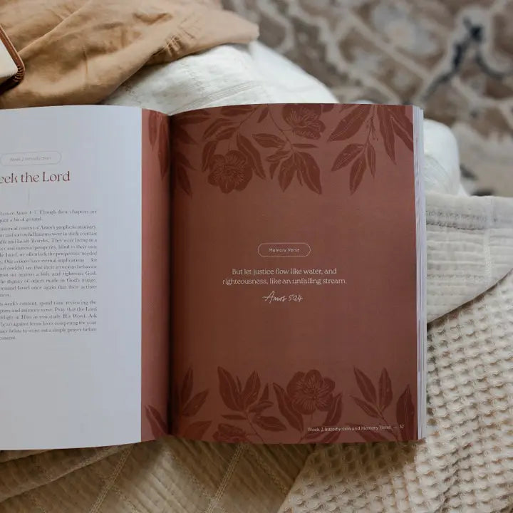 Never Too Far Gone | A Study On the Book of Amos