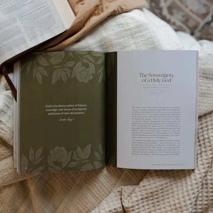 Never Too Far Gone | A Study On the Book of Amos