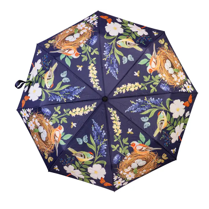 Rainy Day Umbrellas