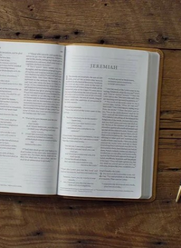Soft Suede ESV Thin Line Bible