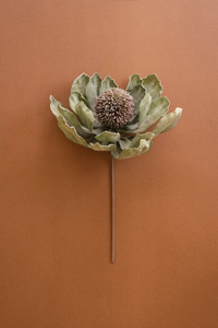 Botanica Decor Flower