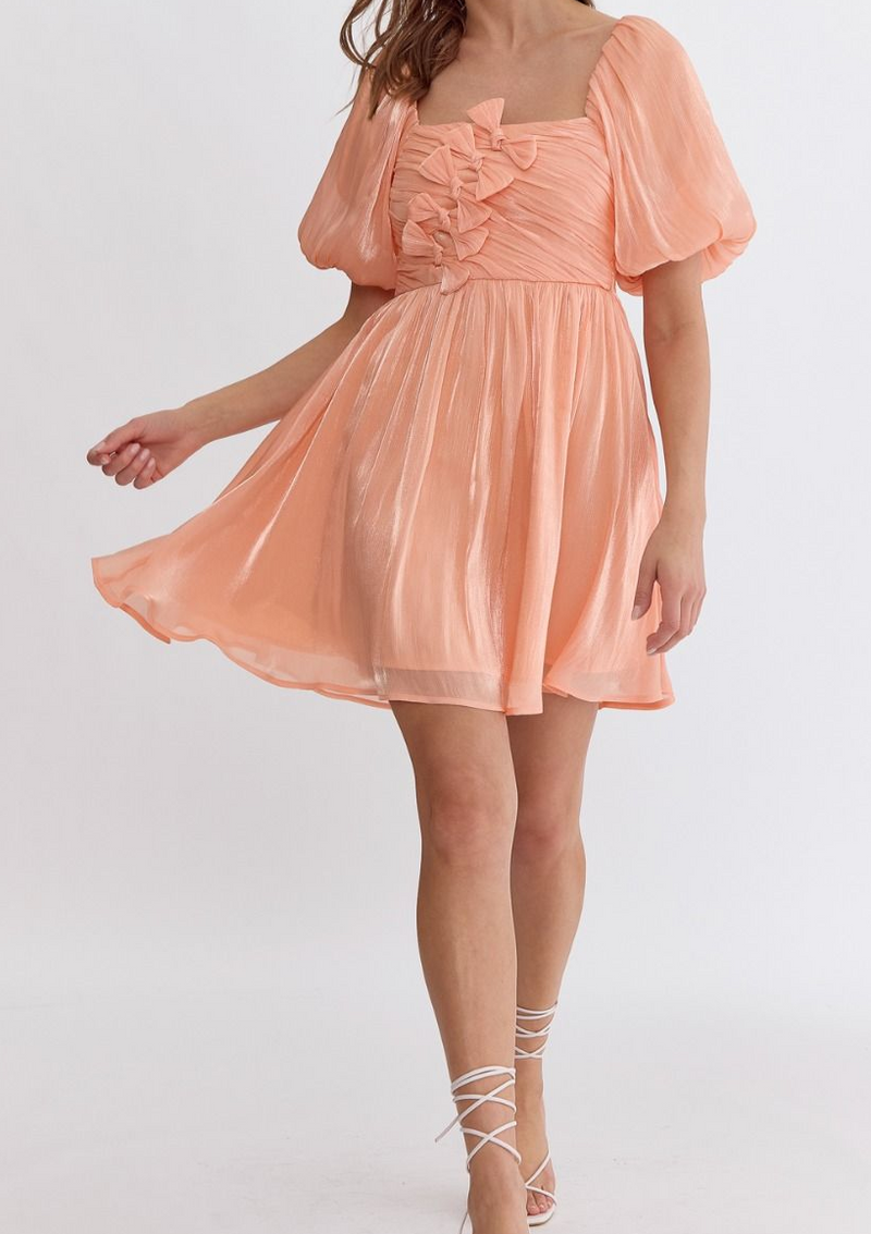 Zaylee Iridescent Mini Dress