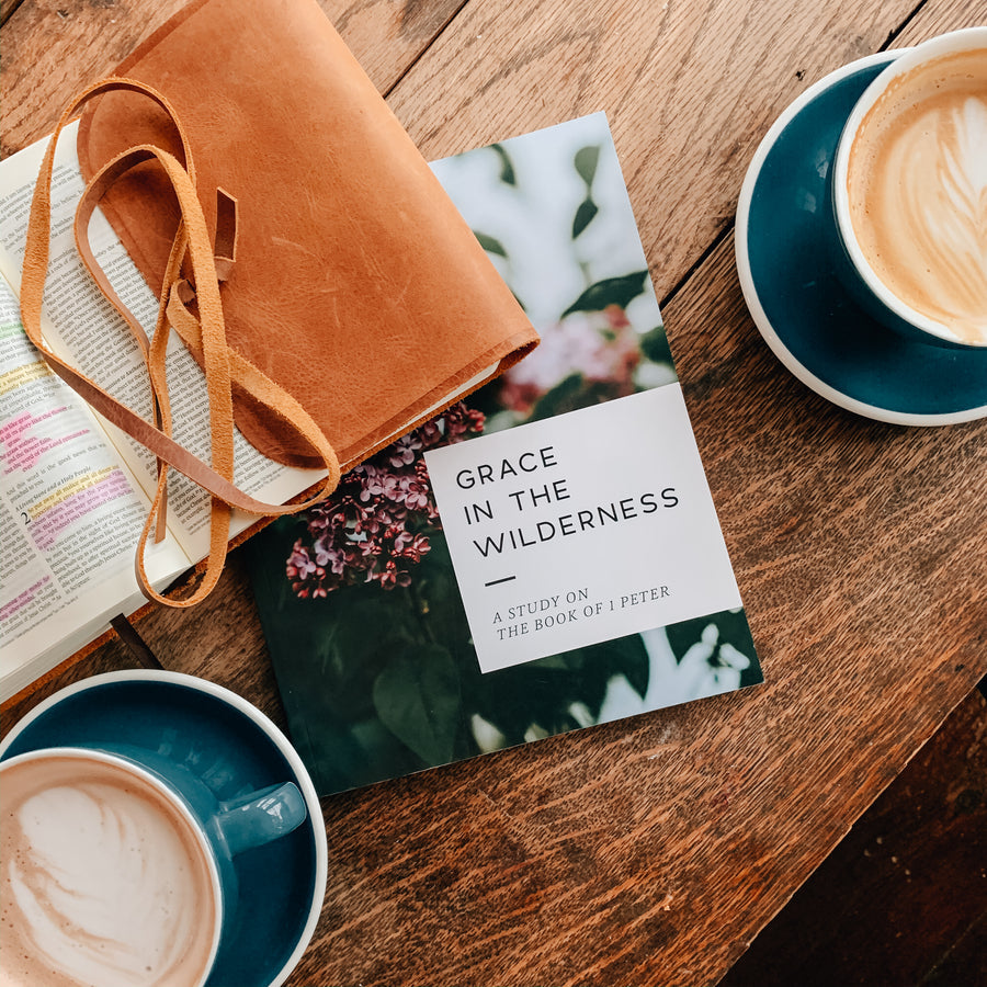 Grace In The Wilderness | Study