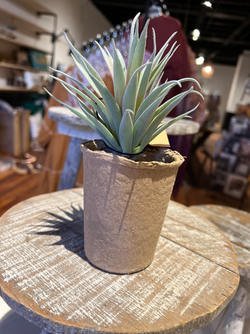 Faux Succulent in Paper Pot
