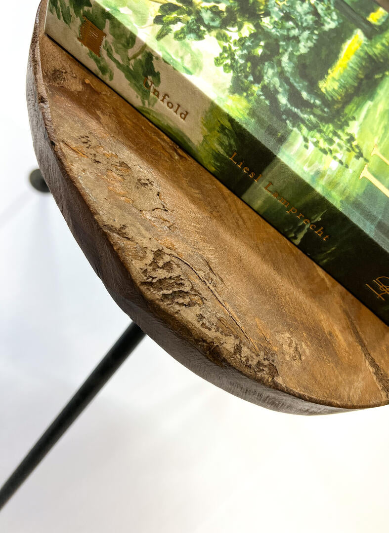 Unfold | 6 Week Devotional