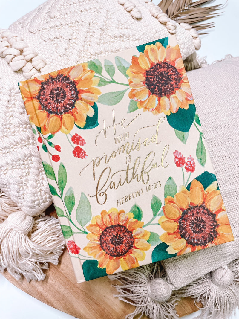CSB Notetaking Bible | Savannah Theme